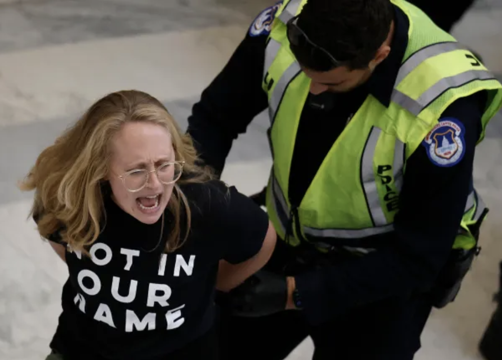 Anti-Israel, arrest, US of Israel